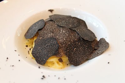 松露產(chǎn)地在什么地方.jpg